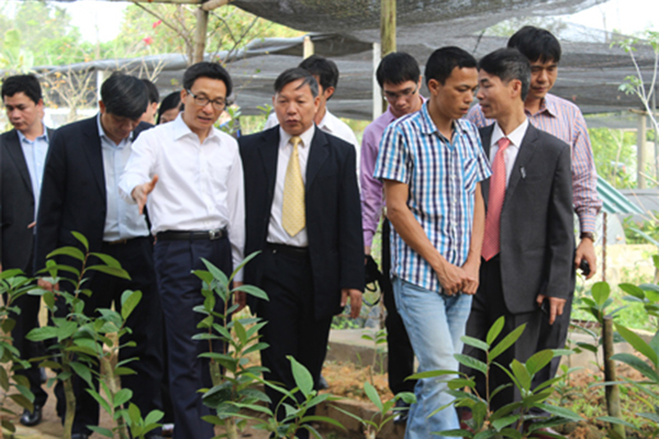 CÔNG TY CỔ PHẦN NÔNG DƯỢC TAM ĐẢO